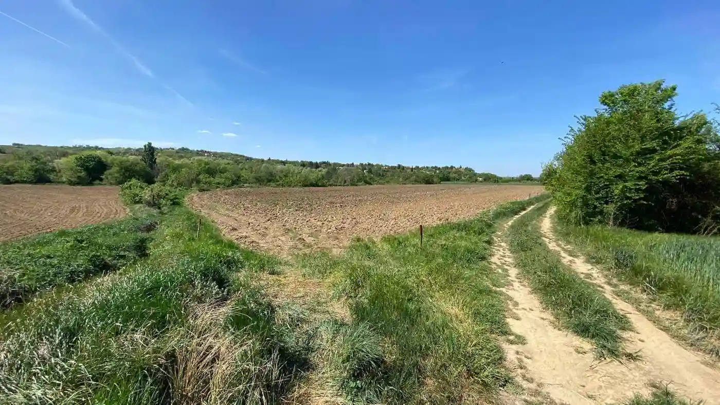 plac na prodaju Sremski Karlovci 23407m2 547012