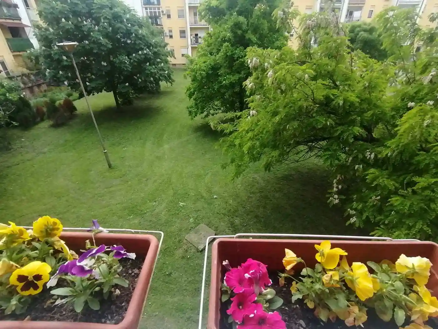 stan na prodaju Novi Sad 55m2 547026