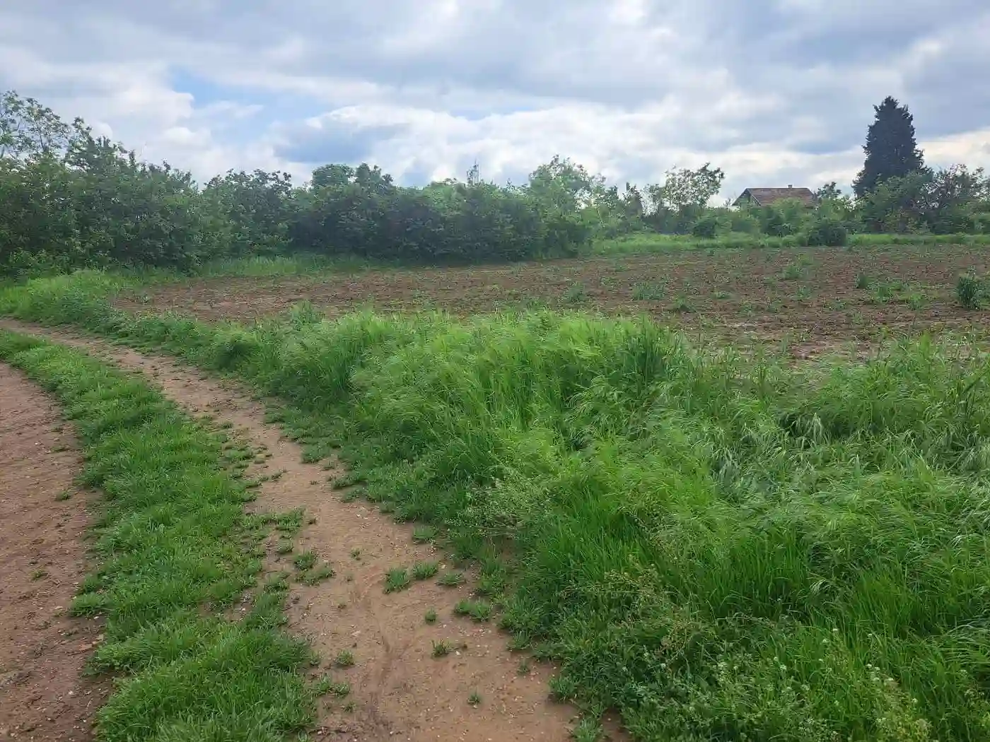 plac na prodaju Petrovaradin 450m2 547091