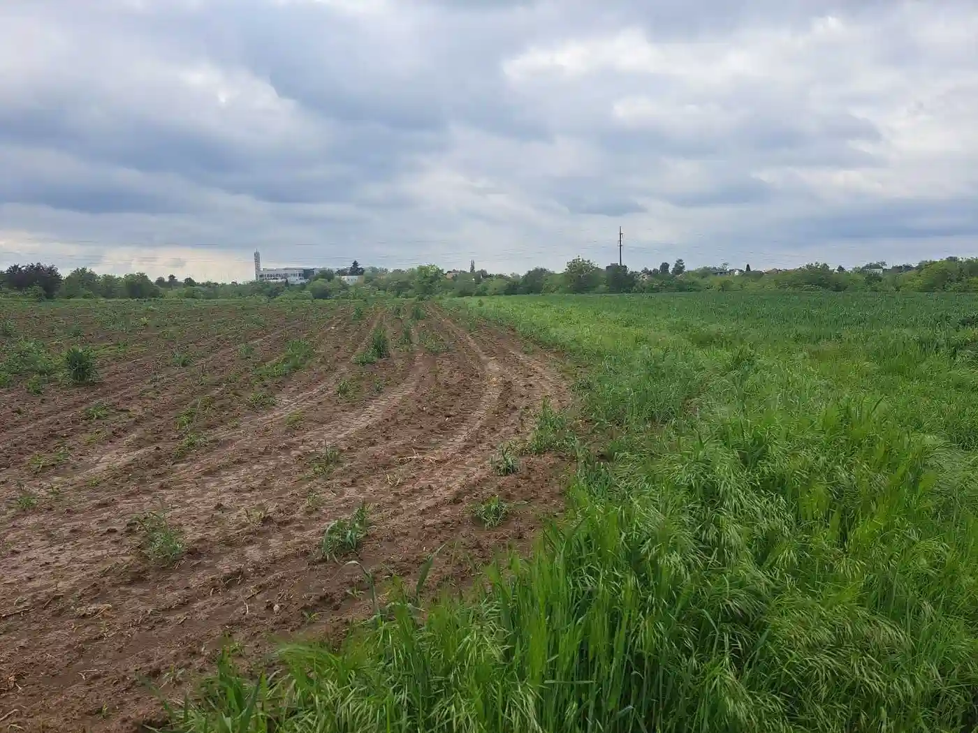 plac na prodaju Petrovaradin 450m2 547091