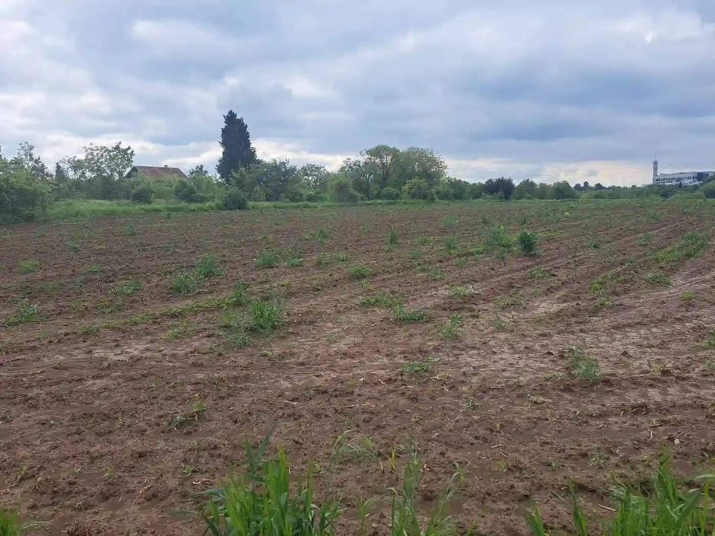 plac na prodaju Petrovaradin 450m2 547091