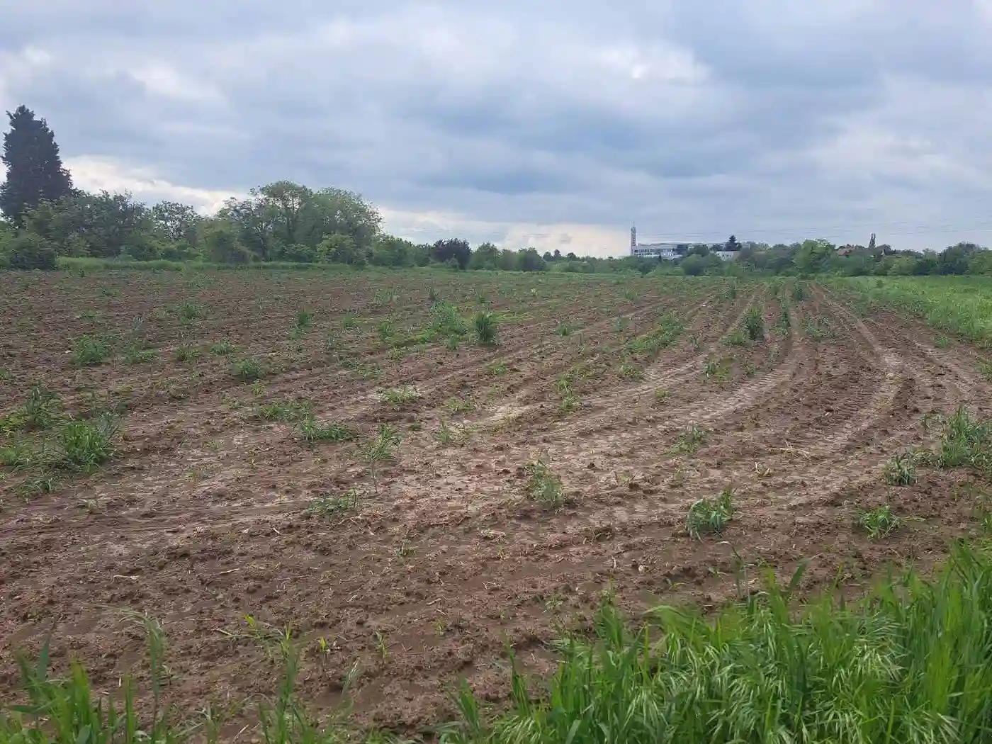 plac na prodaju Petrovaradin, 450m2 547091