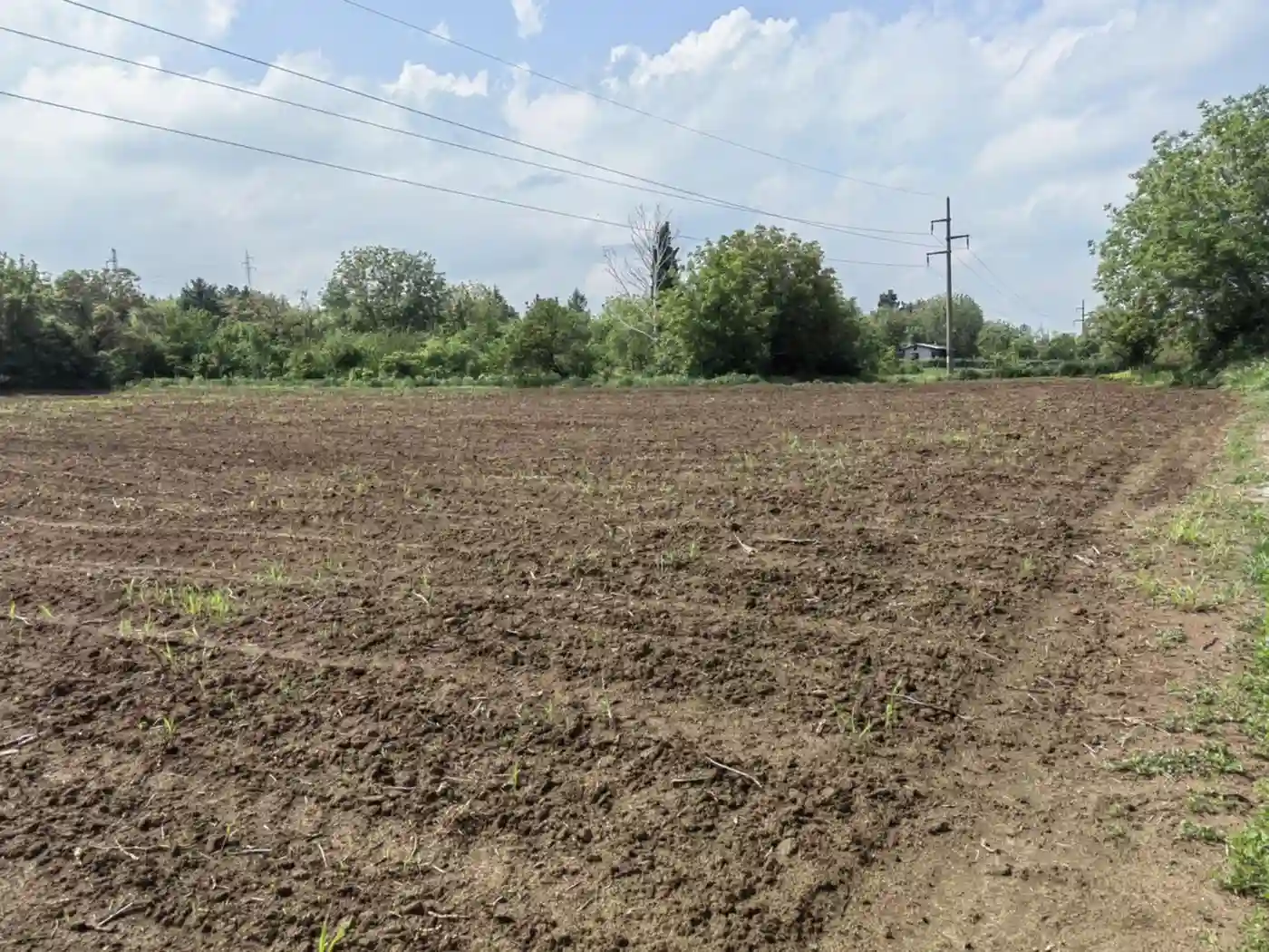 plac na prodaju Sremska Kamenica 932m2 547405