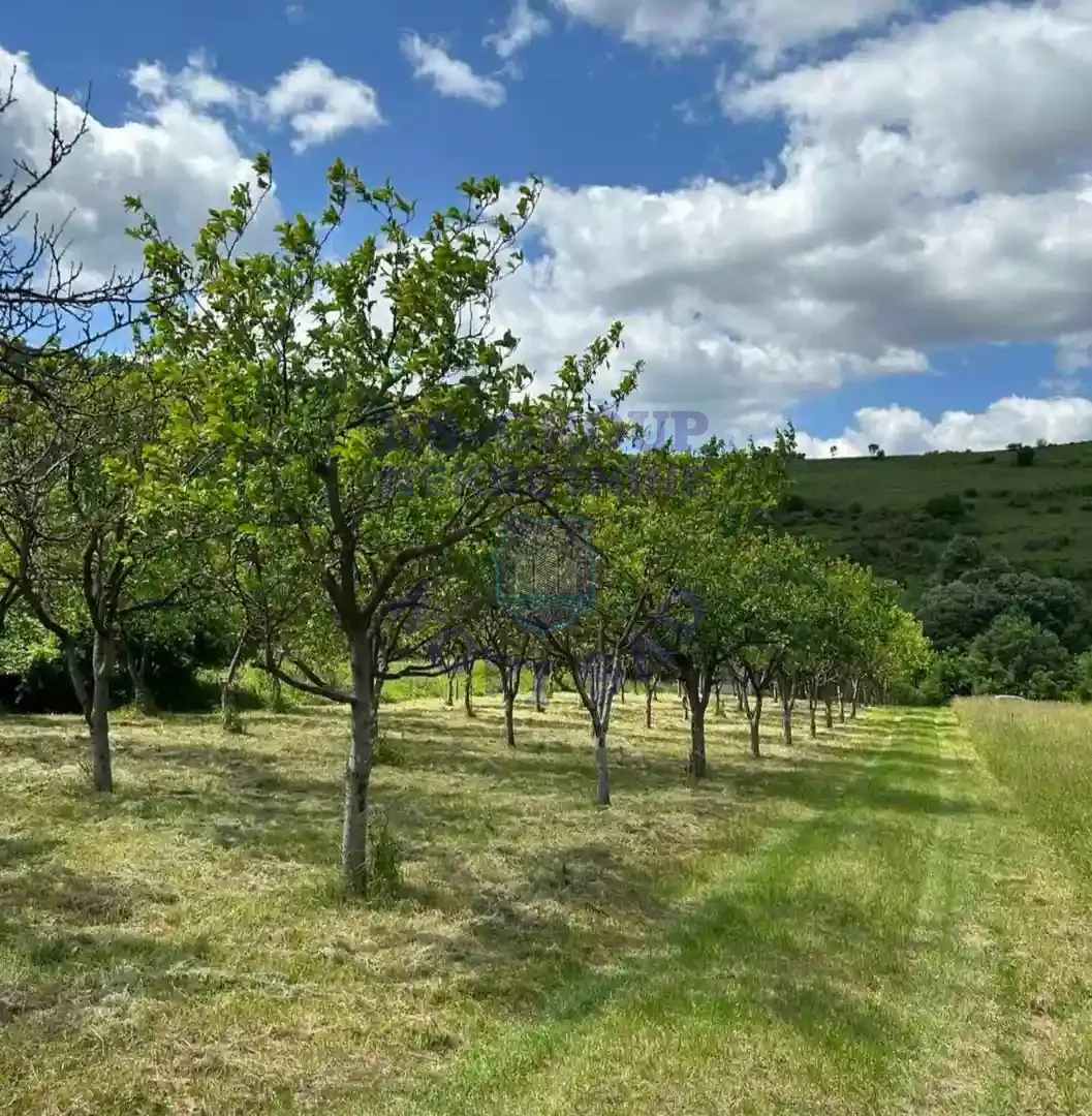plac na prodaju Rakovac 3648m2 548577