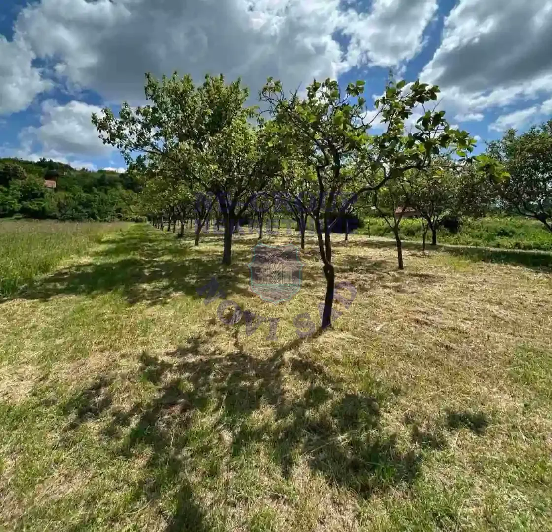 plac na prodaju Rakovac 3648m2 548577