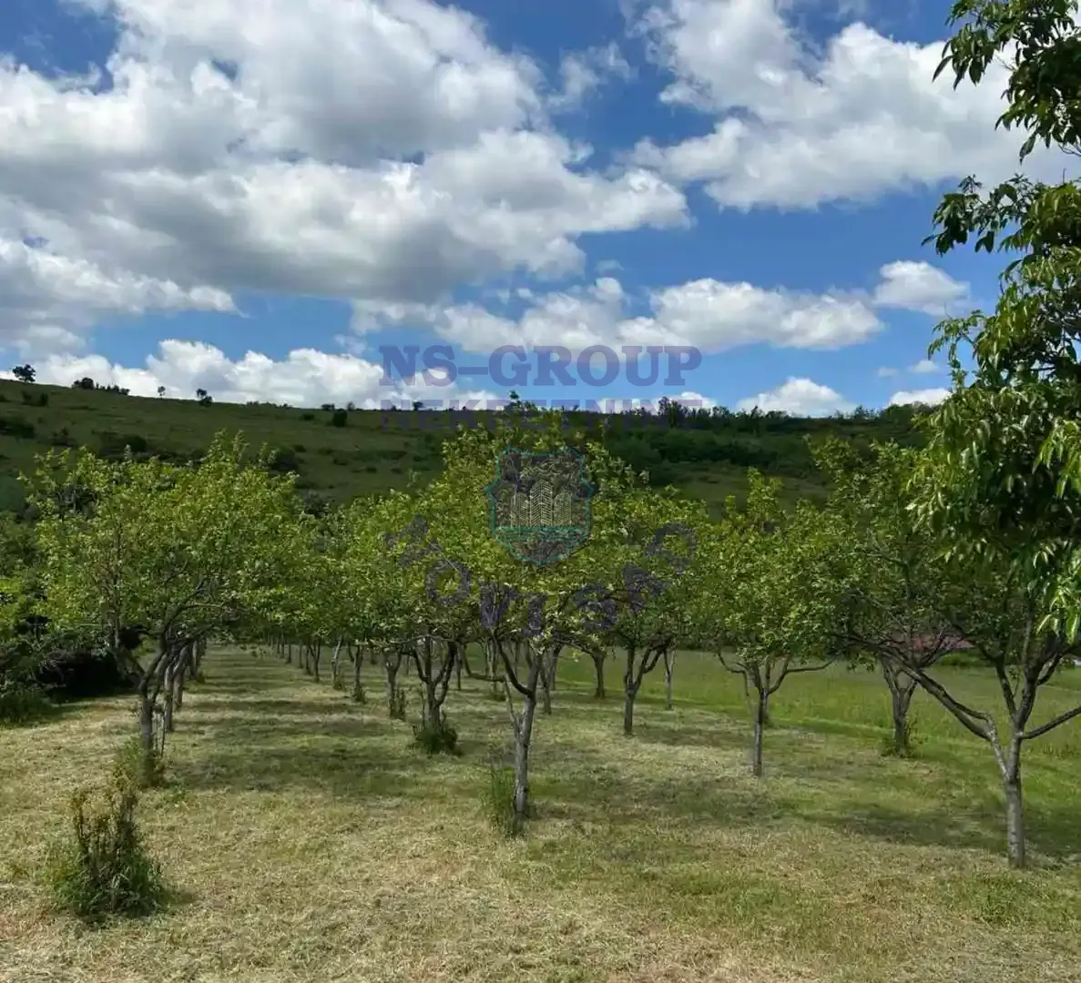 plac na prodaju Rakovac 3648m2 548577