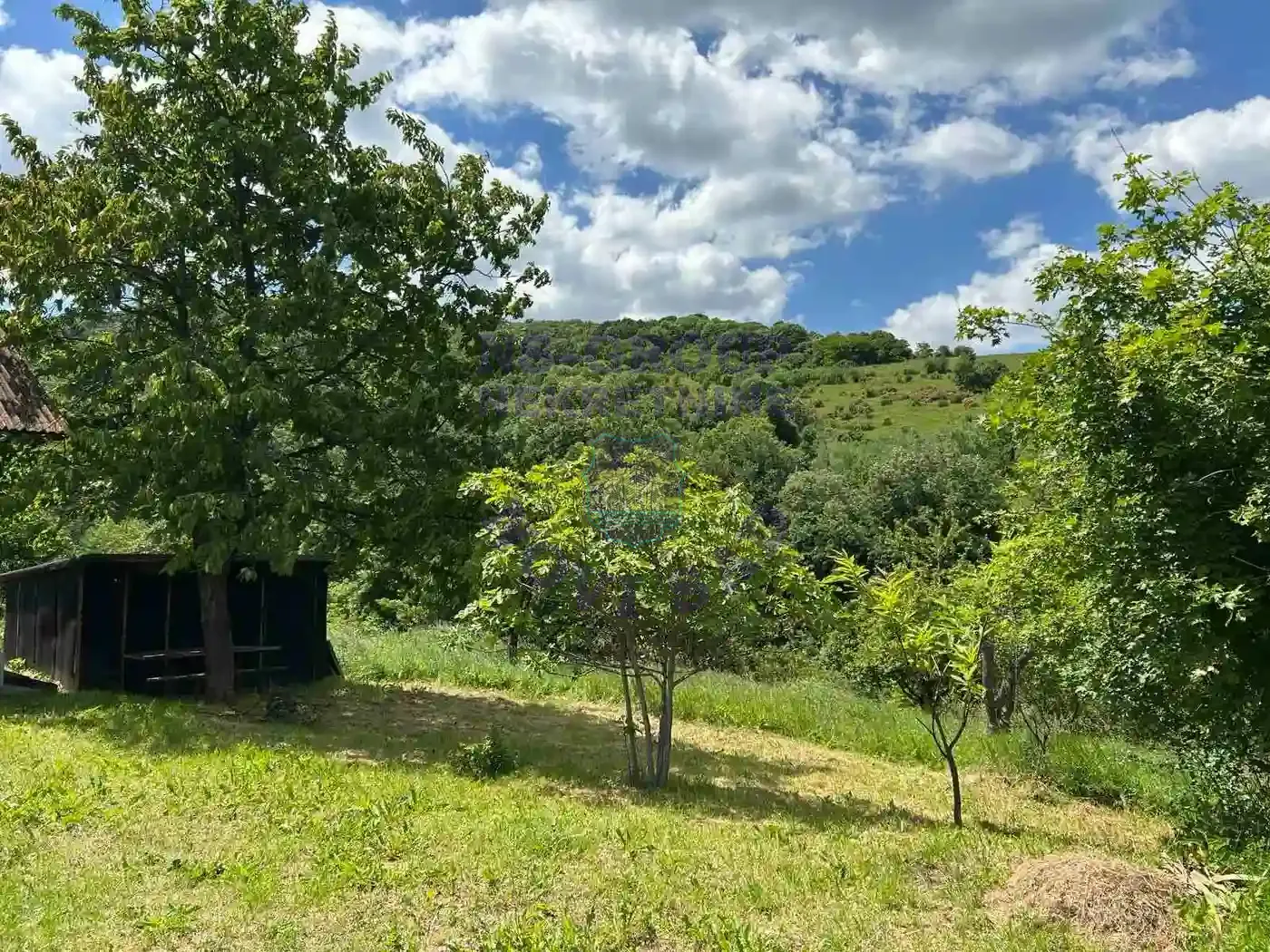 plac na prodaju Rakovac 3648m2 548577