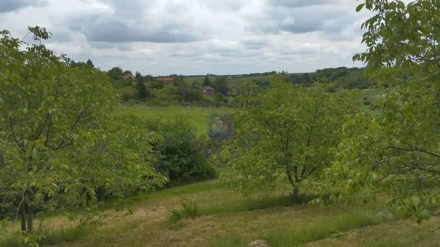 plac na prodaju Čortanovci, 5467m2 549177