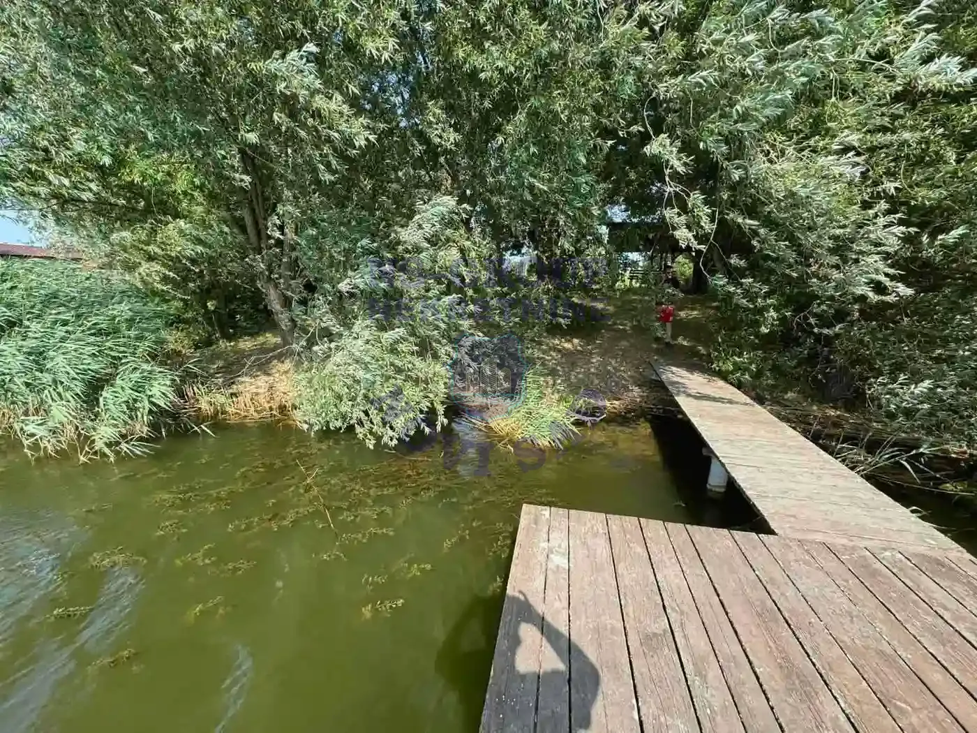 plac na prodaju Bečej 739m2 549342