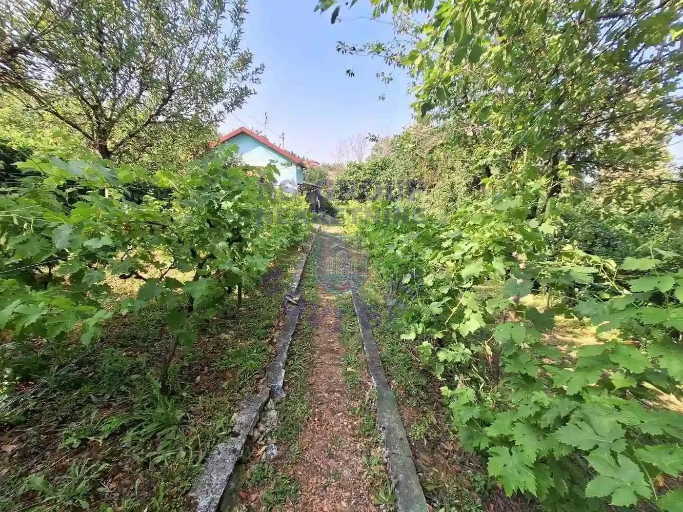 kuca na prodaju Čortanovci 55m2 547061