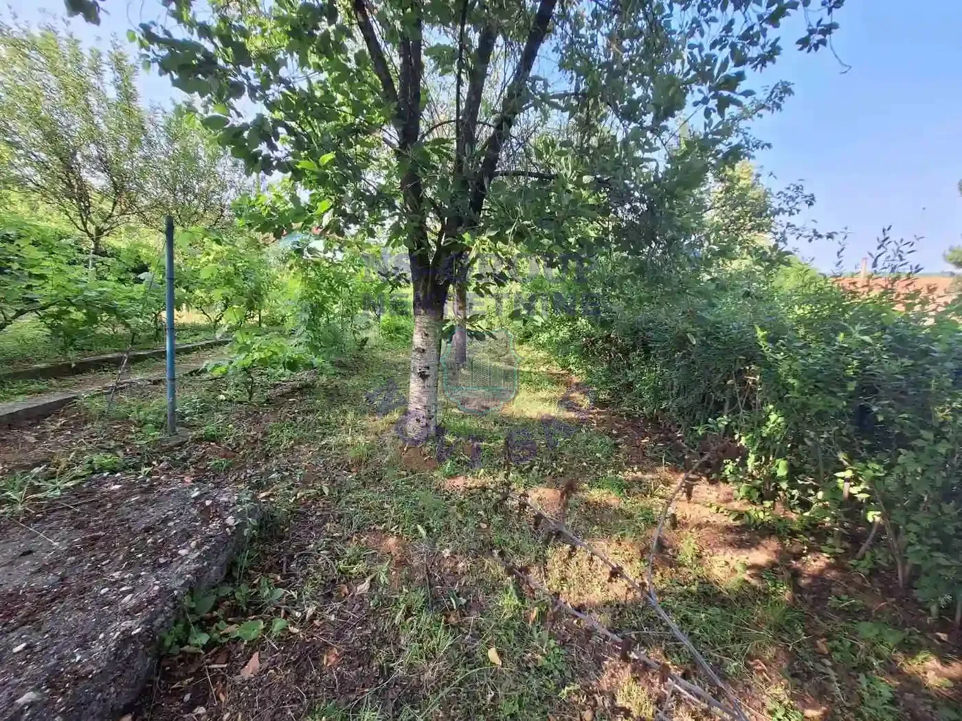 kuca na prodaju Čortanovci 55m2 547061
