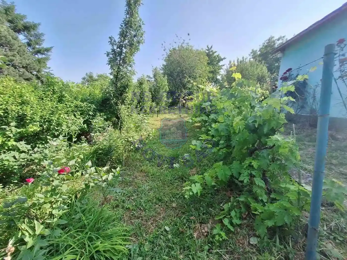 kuca na prodaju Čortanovci 55m2 547061
