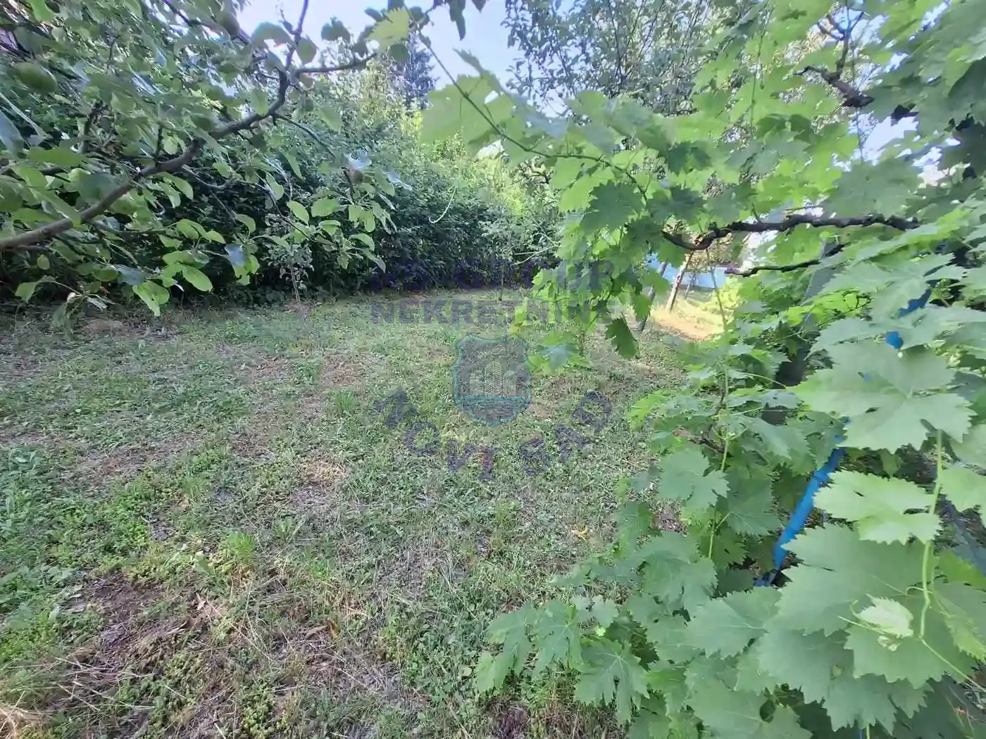 kuca na prodaju Čortanovci 55m2 547061