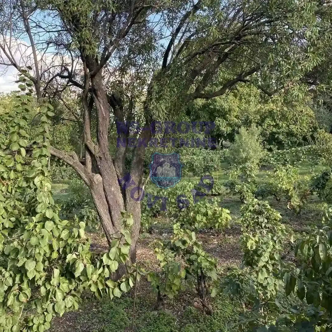kuca na prodaju Sremski Karlovci 61m2 549589