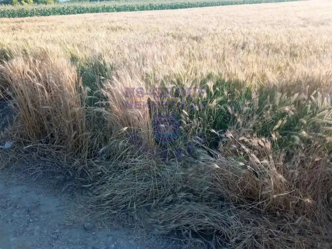 plac na prodaju Budisava 812m2 549687