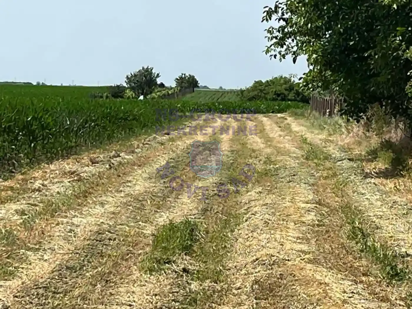 plac na prodaju Rumenka, 1103m2 536628