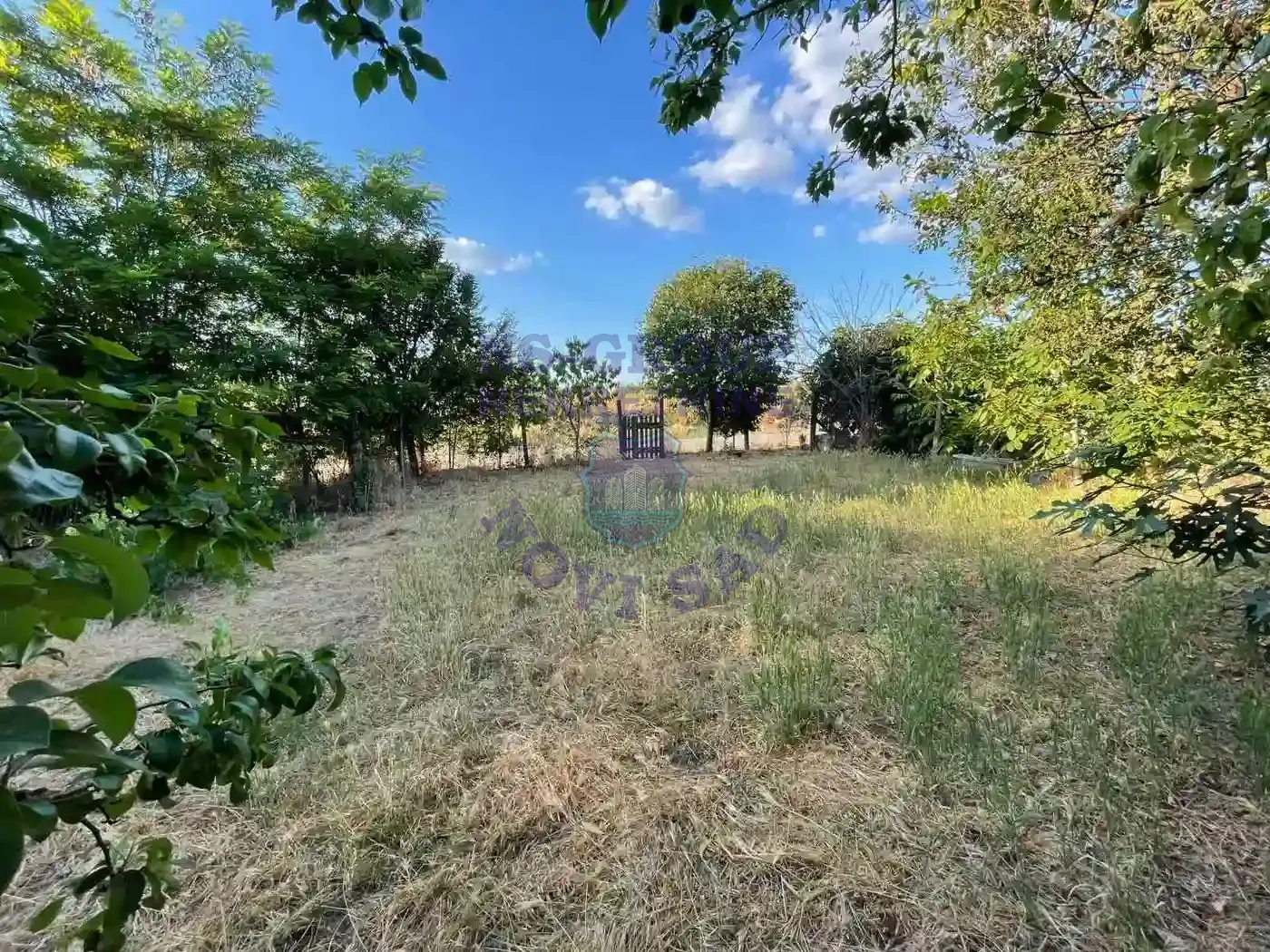 kuca na prodaju Kisač 357m2 550589