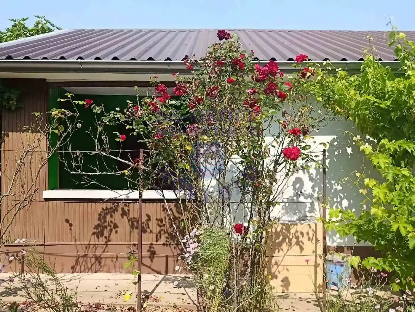 kuca na prodaju Sremski Karlovci 56m2 550779