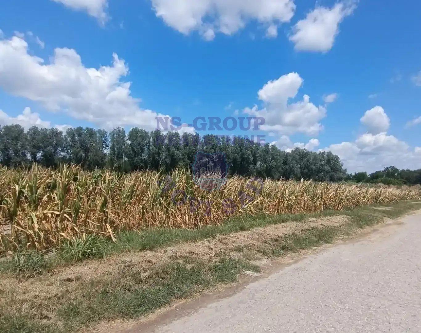 plac na prodaju Kać 8181m2 308292