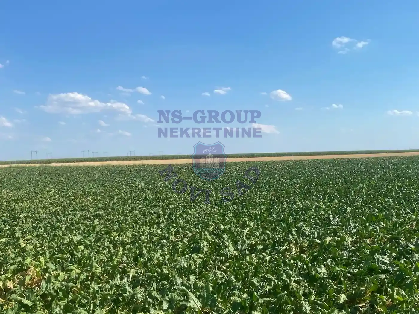 plac na prodaju Inđija, 16000m2 551727