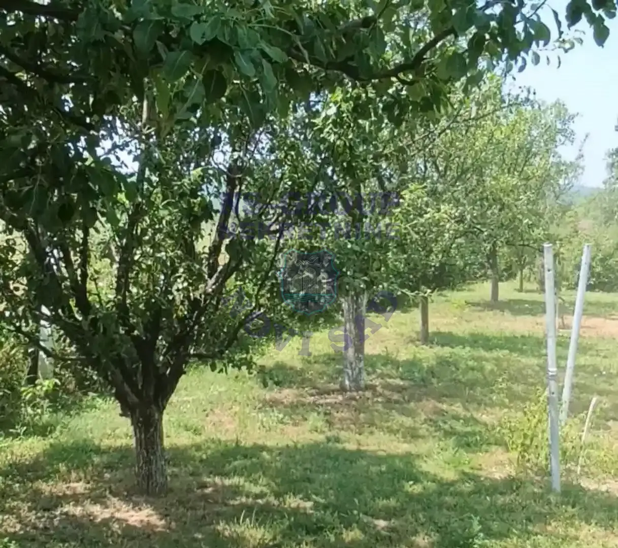 kuca na prodaju Sremski Karlovci 56m2 550779