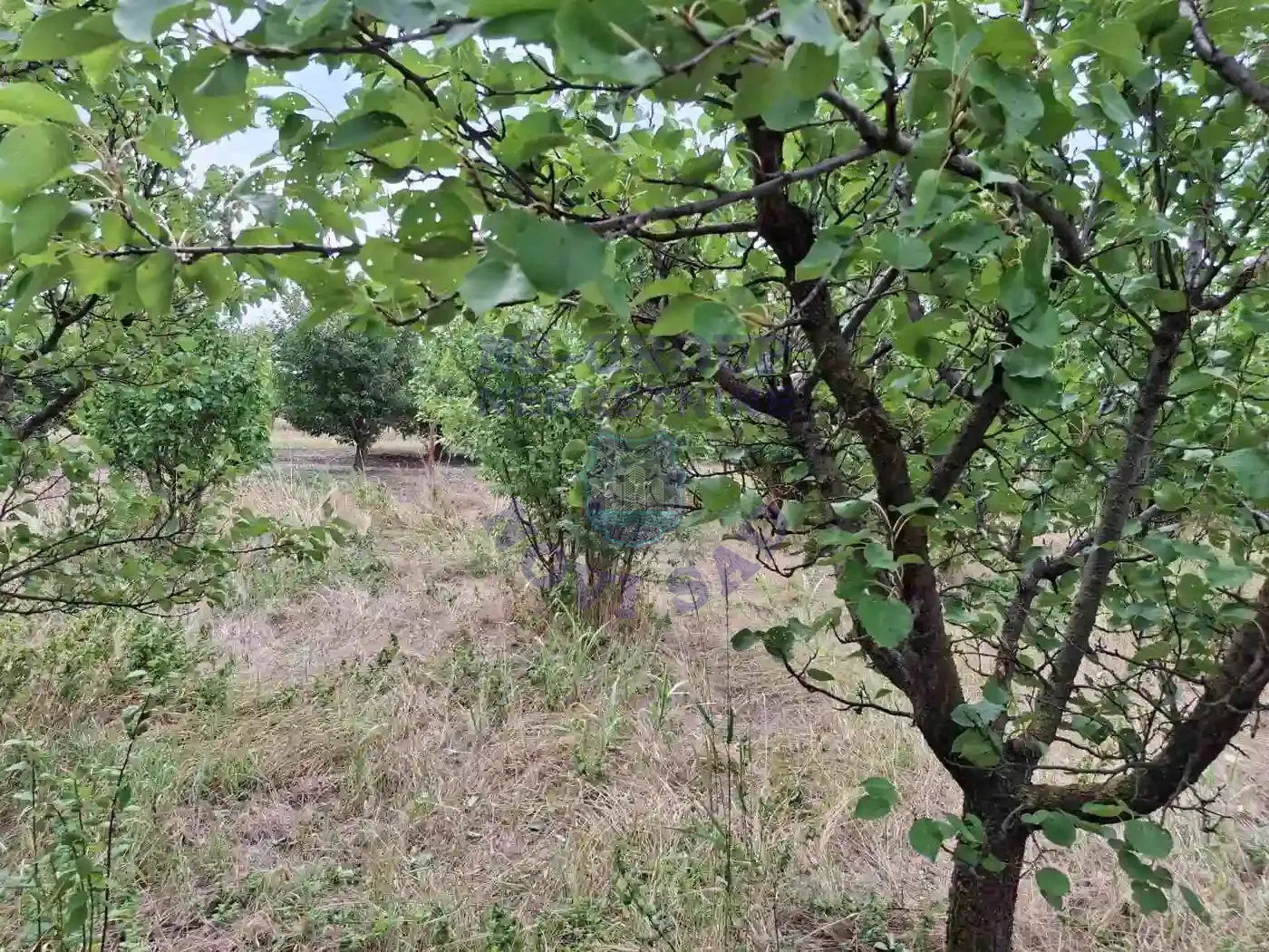 kuca na prodaju Kać 116m2 552312