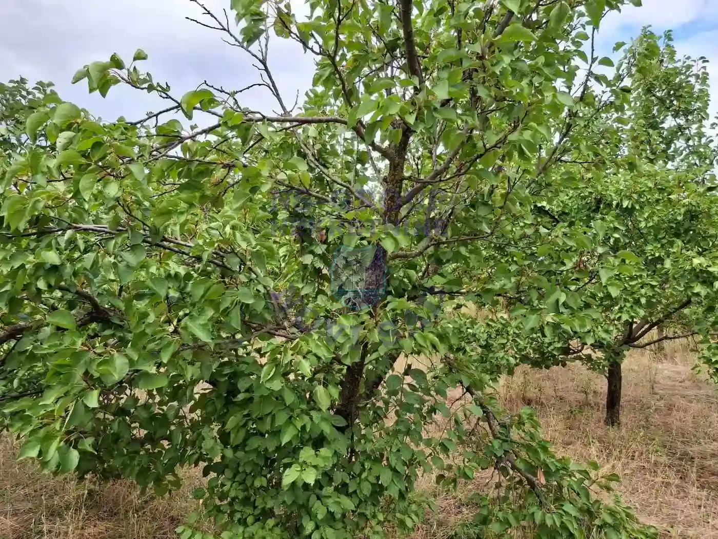 kuca na prodaju Kać 116m2 552312
