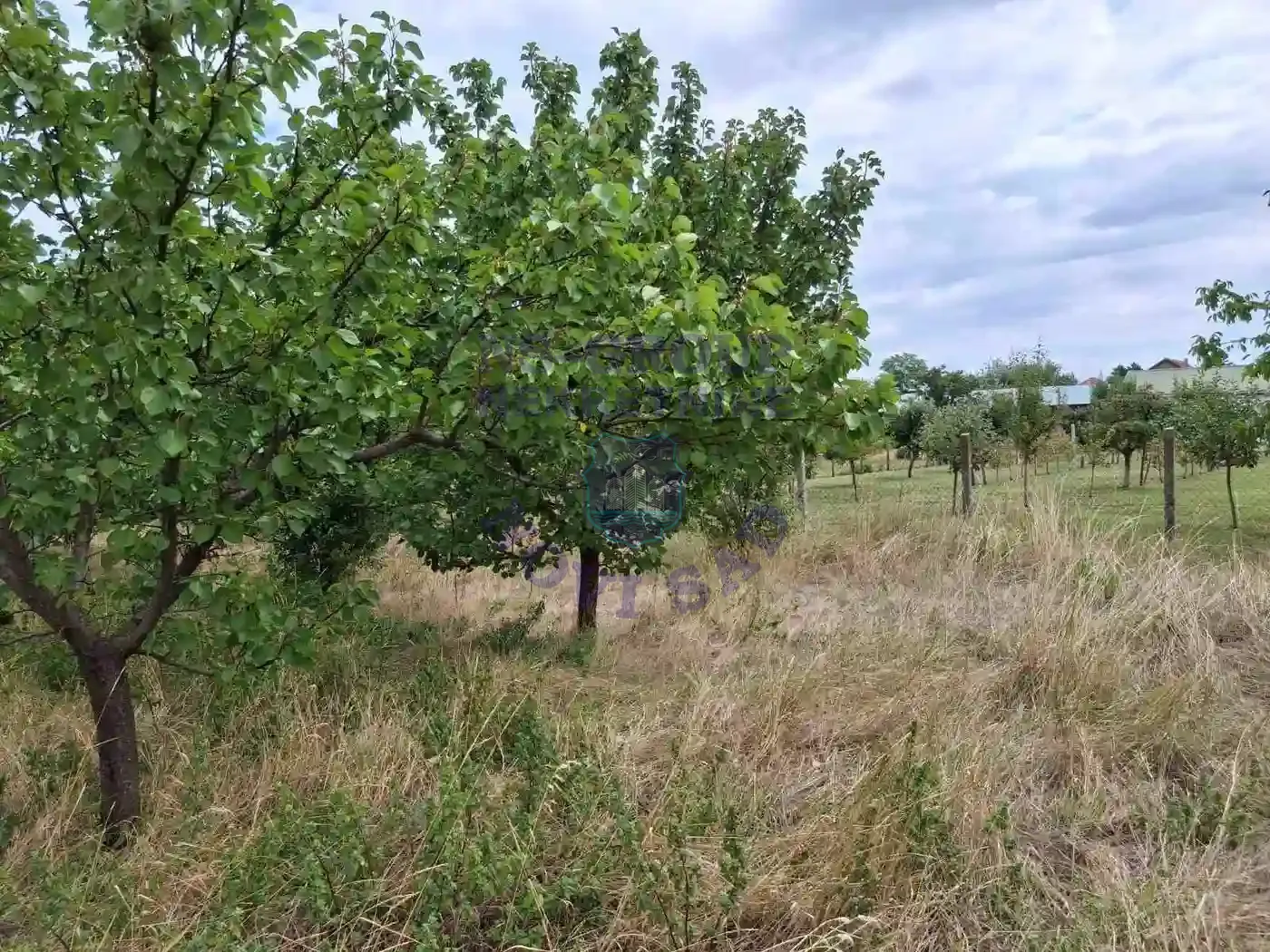 kuca na prodaju Kać 116m2 552312