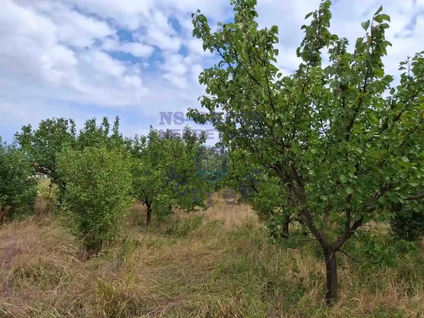 kuca na prodaju Kać 116m2 552312