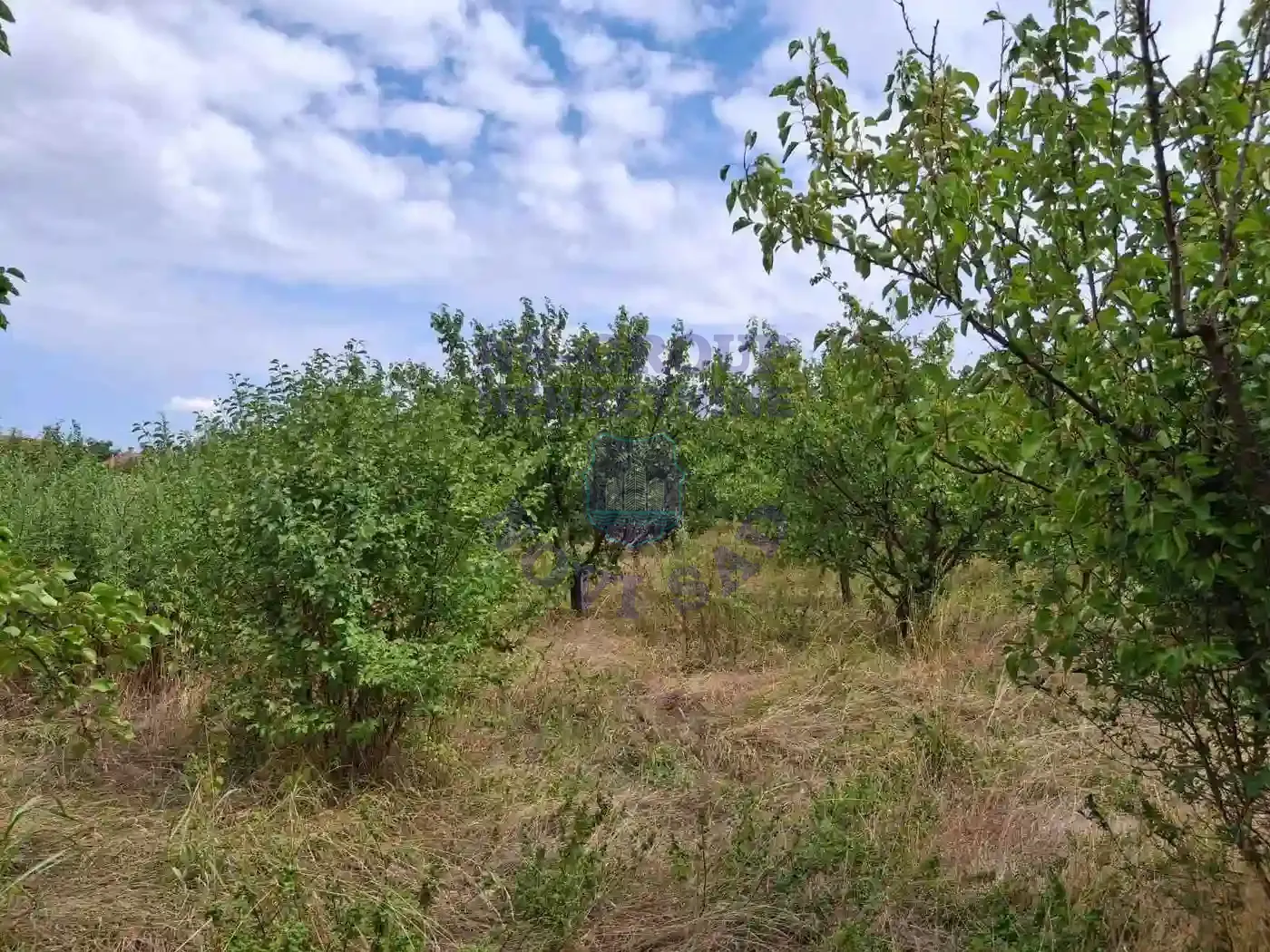 kuca na prodaju Kać 116m2 552312