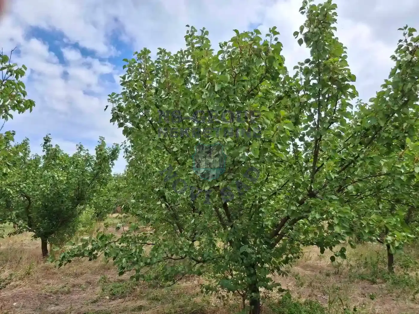 kuca na prodaju Kać 116m2 552312