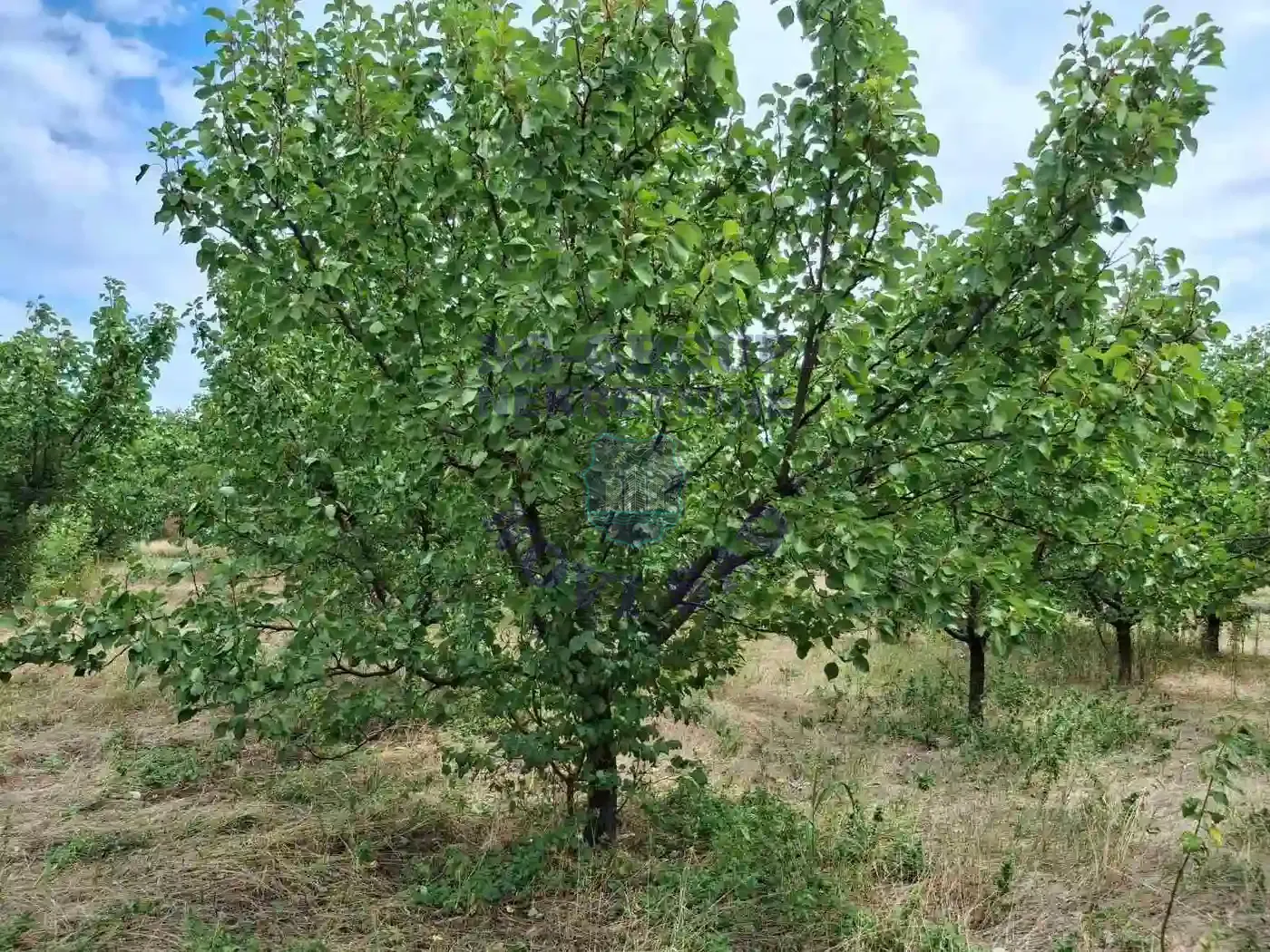 kuca na prodaju Kać 116m2 552312