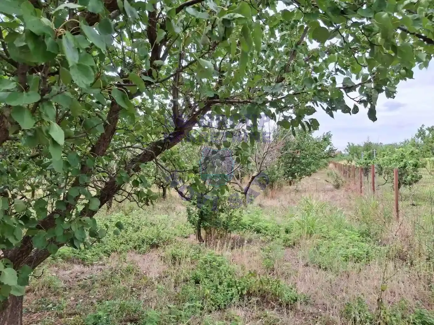 kuca na prodaju Kać 116m2 552312