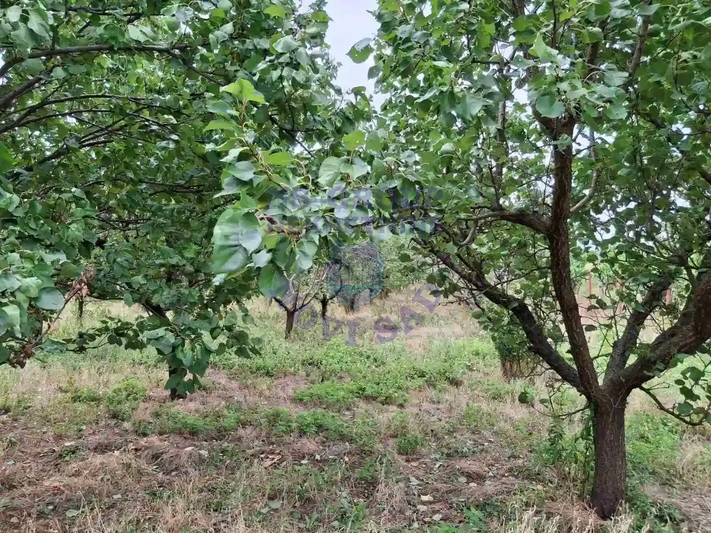 kuca na prodaju Kać 116m2 552312