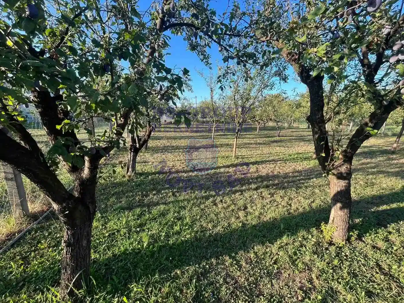 plac na prodaju Veternik, 600m2 552427