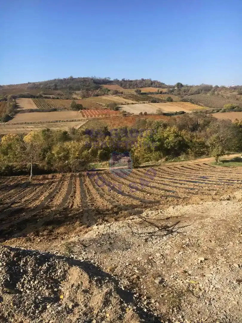 plac na prodaju Sremski Karlovci, 2972m2 552762