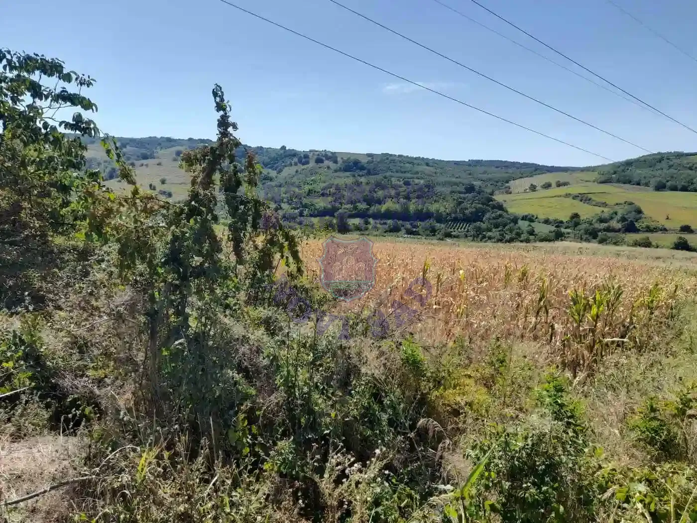 plac na prodaju Čerević 555m2 553773