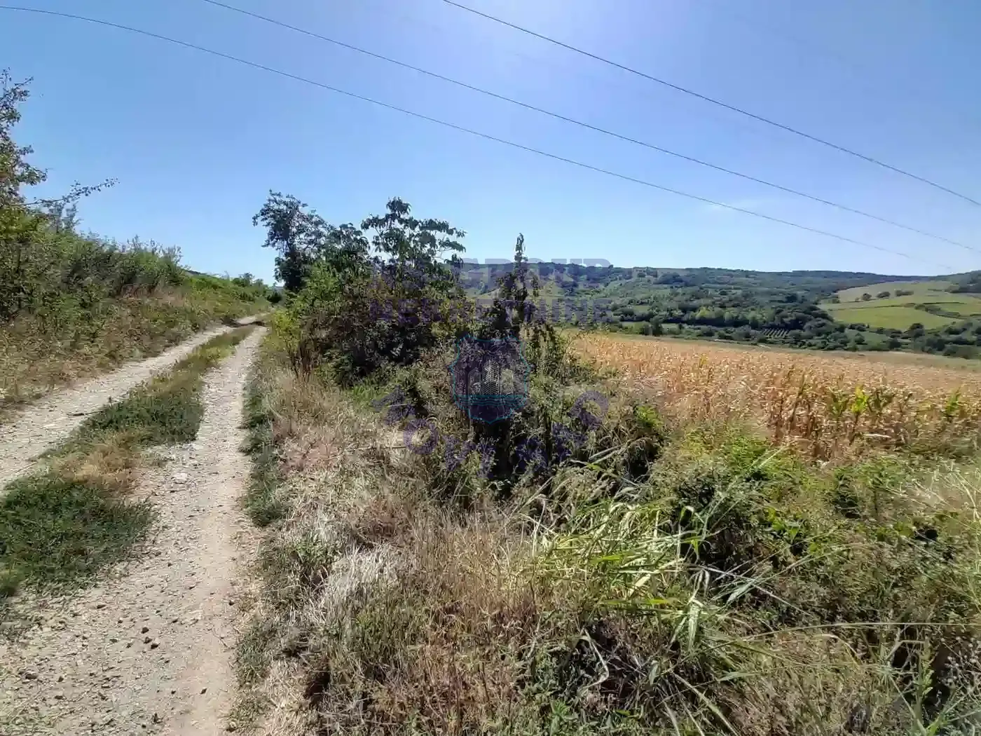 plac na prodaju Čerević 849m2 553785