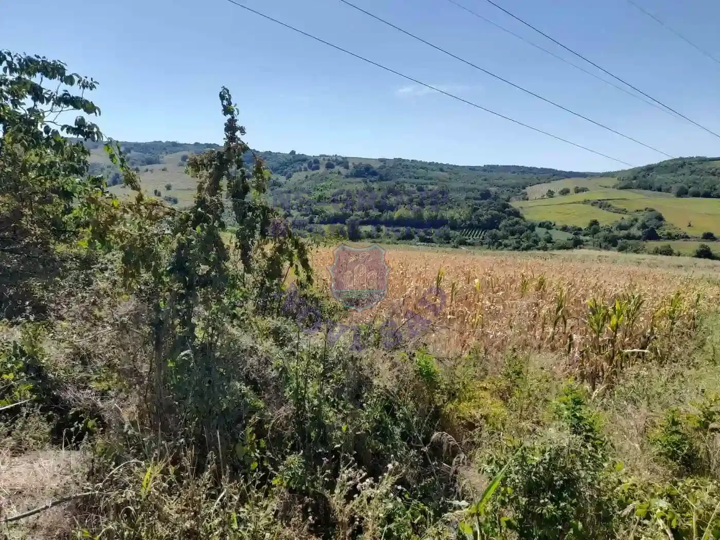 plac na prodaju Čerević 2711m2 553769