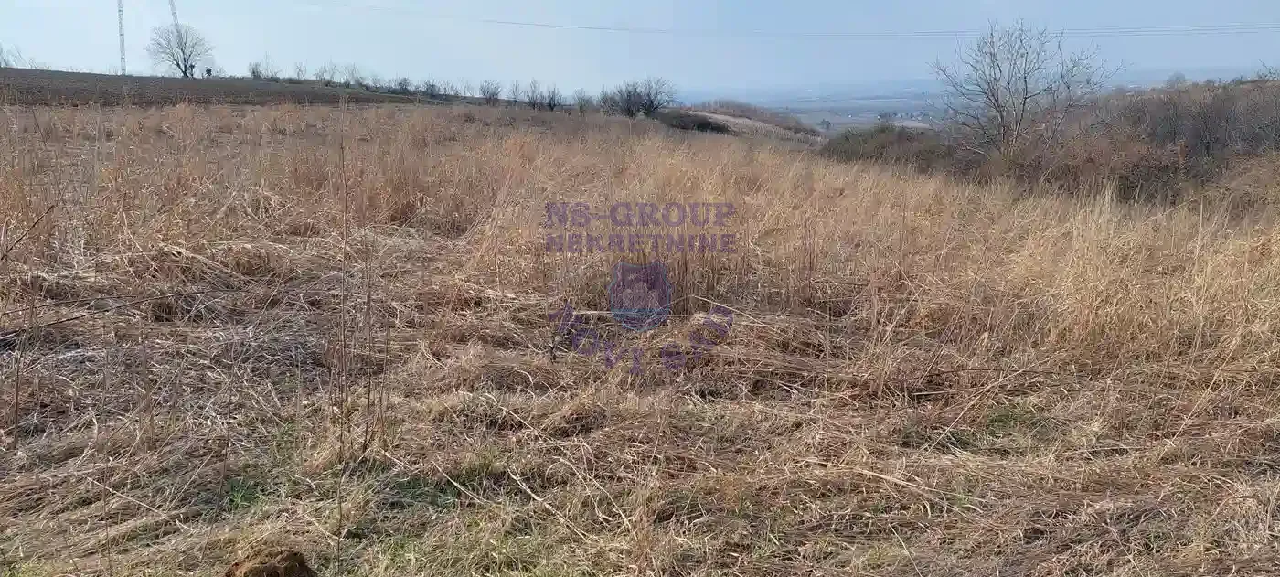 plac na prodaju Čerević 5866m2 554392