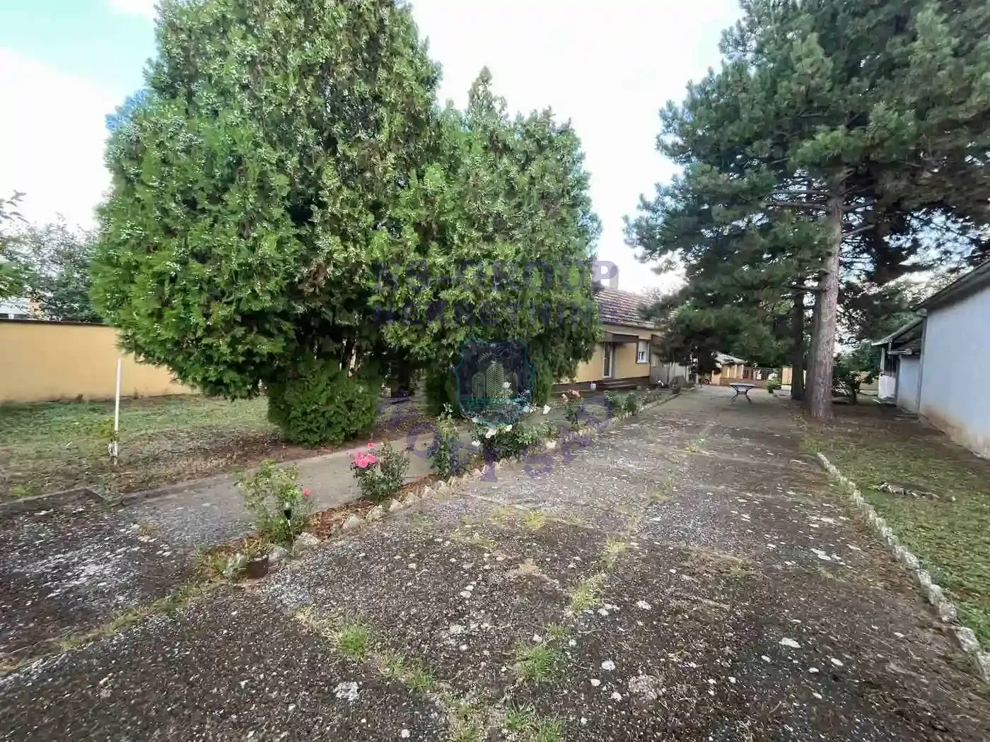 kuca na prodaju Krušedol 98m2 554648