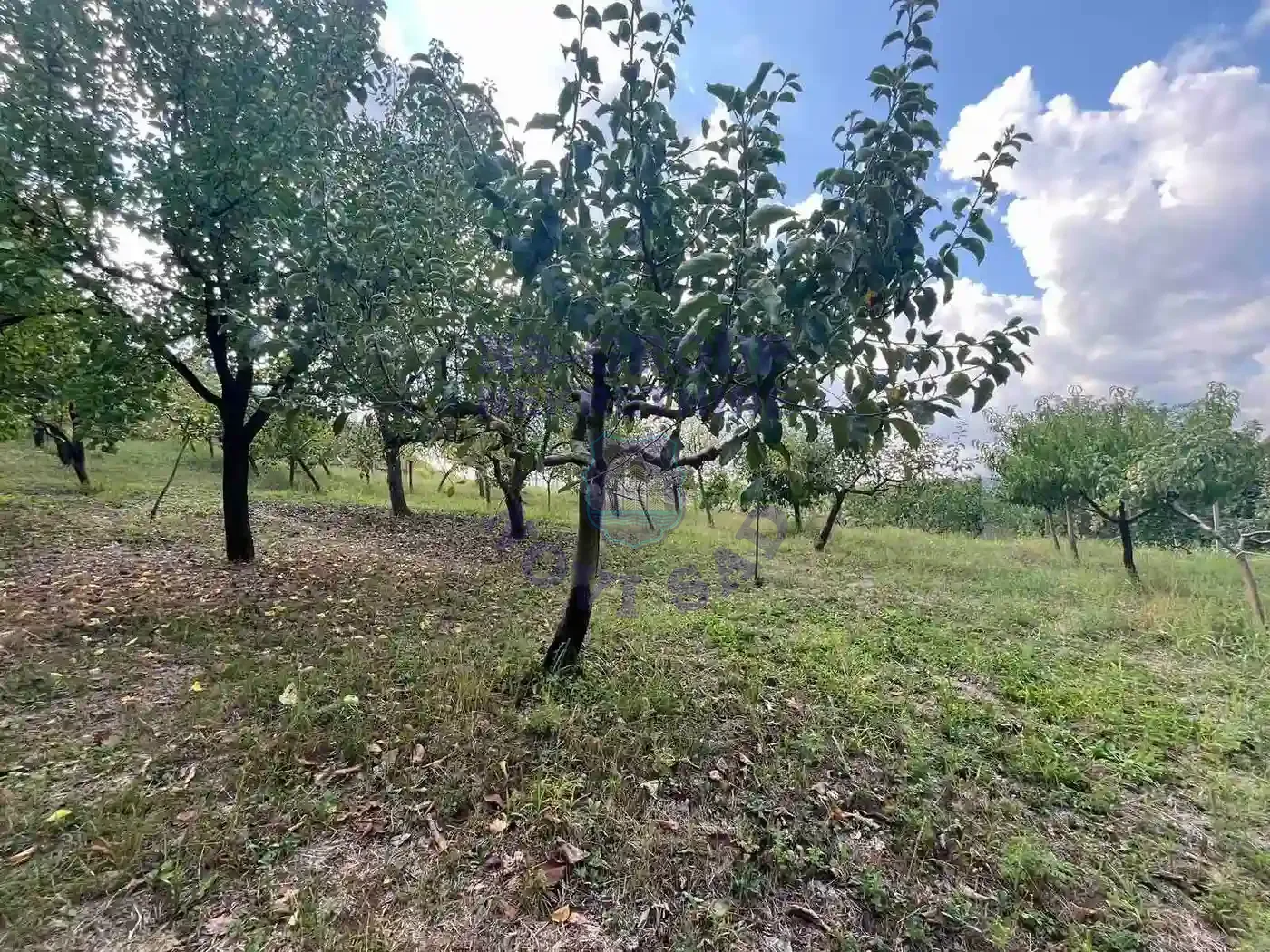 plac na prodaju Petrovaradin 1418m2 554618