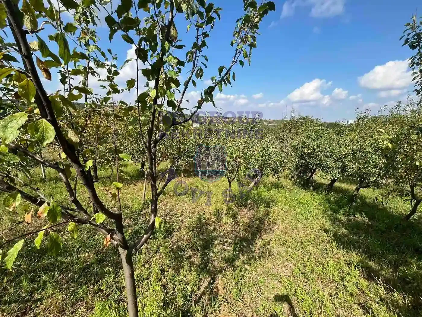 plac na prodaju Petrovaradin 1418m2 554618