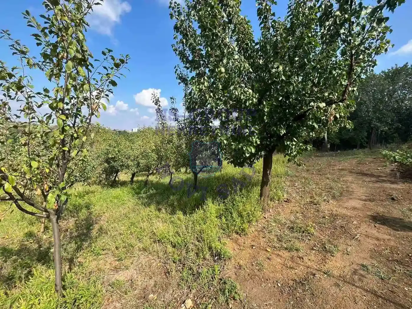 plac na prodaju Petrovaradin 1418m2 554618