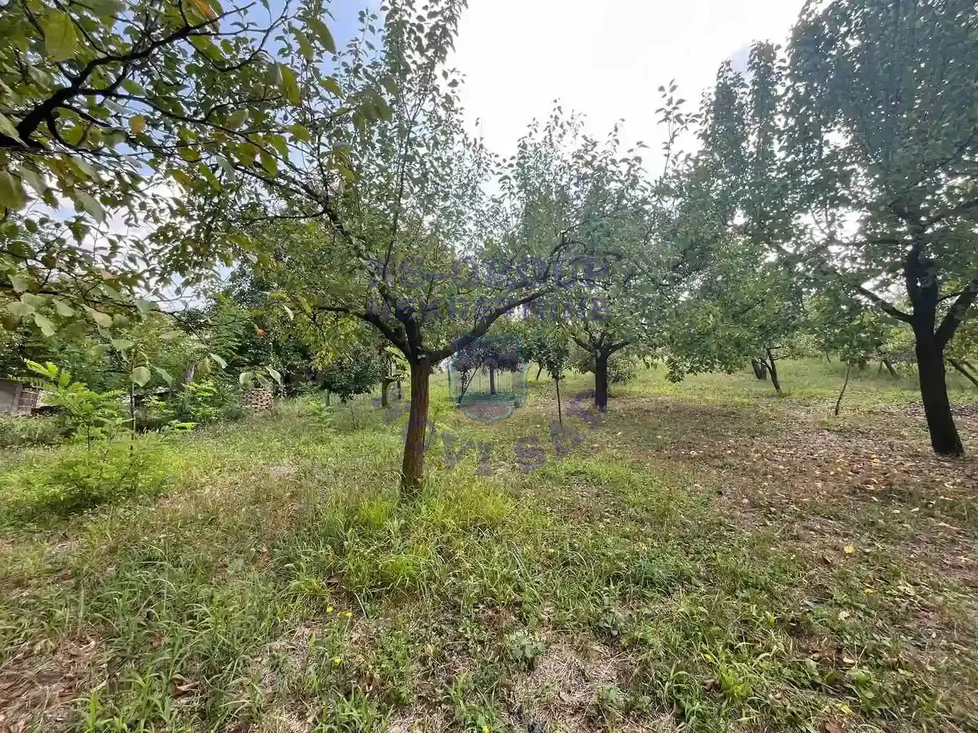 plac na prodaju Petrovaradin 1418m2 554618