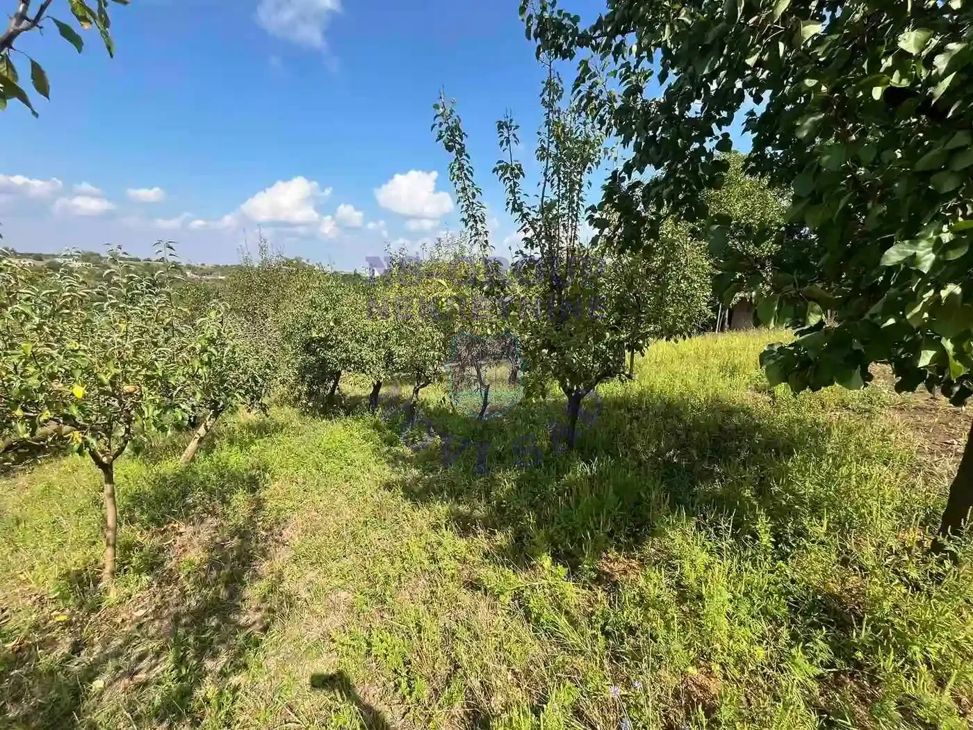 plac na prodaju Petrovaradin 1418m2 554618