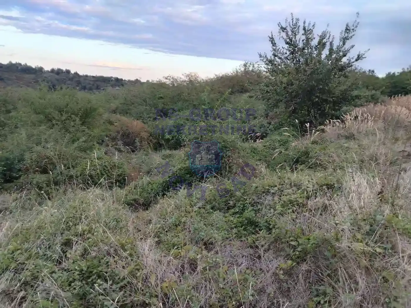 plac na prodaju Krušedol 2421m2 555223