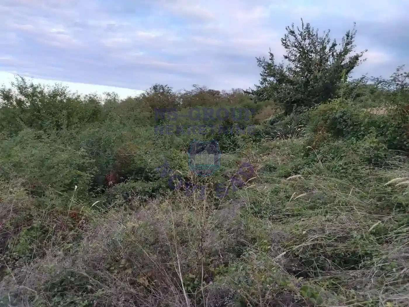 plac na prodaju Krušedol 2421m2 555223