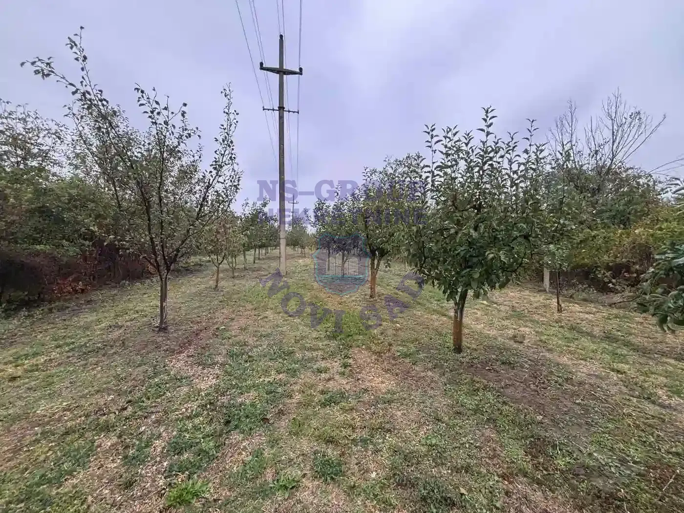 plac na prodaju Novi Slankamen 1529m2 556112