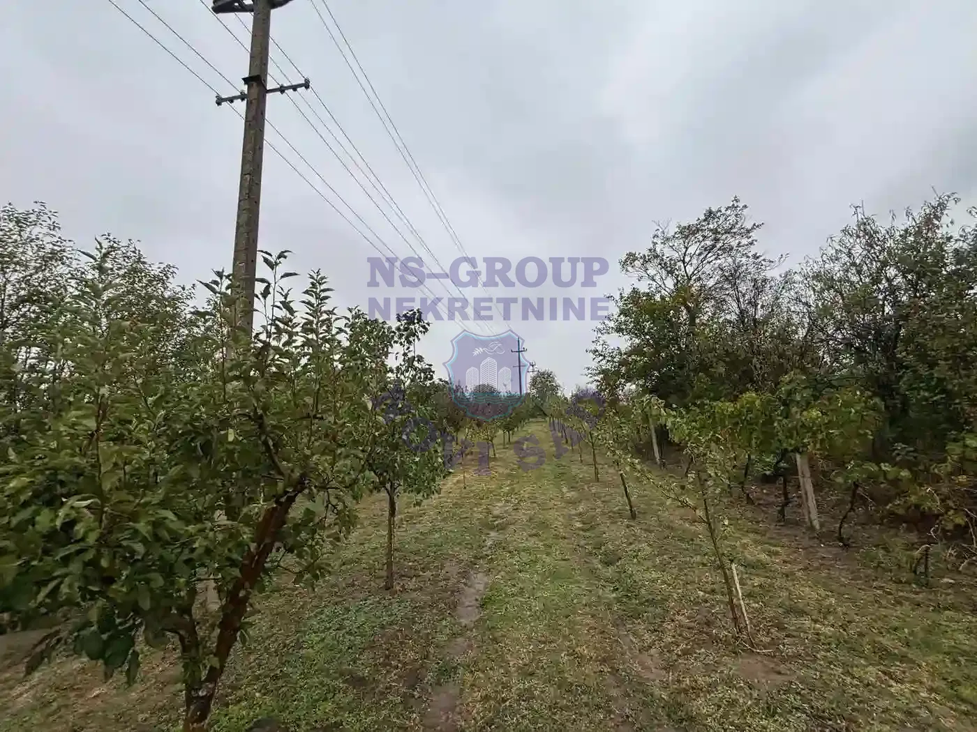 plac na prodaju Novi Slankamen 1529m2 556112